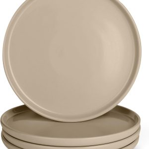 10.5-Inch Glazed Stoneware Dinner Plates Set of 4, Freezer and Microwave Safe