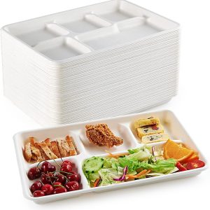 100-Pack 5-Compartment Disposable Plates, 12.5 Inch, Sturdy Paper Material