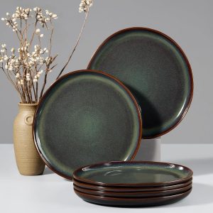 10-Inch Reactive Glaze Stoneware Dinner Plates Set of 6, Microwave Safe